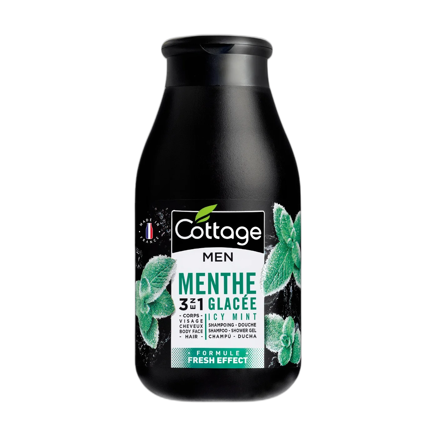 Menthe Glacée 3 In 1 Face Body Hair Shower Gel