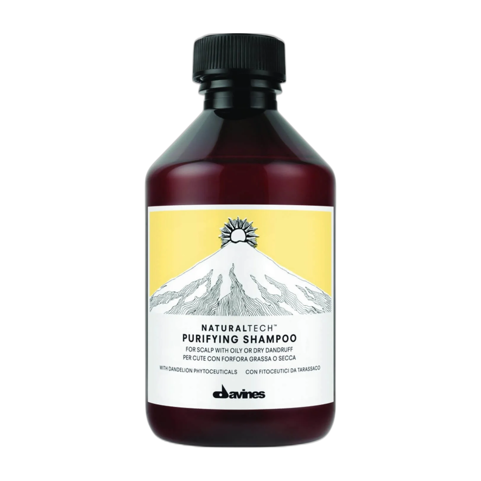 Naturaltech Purifying Shampoo