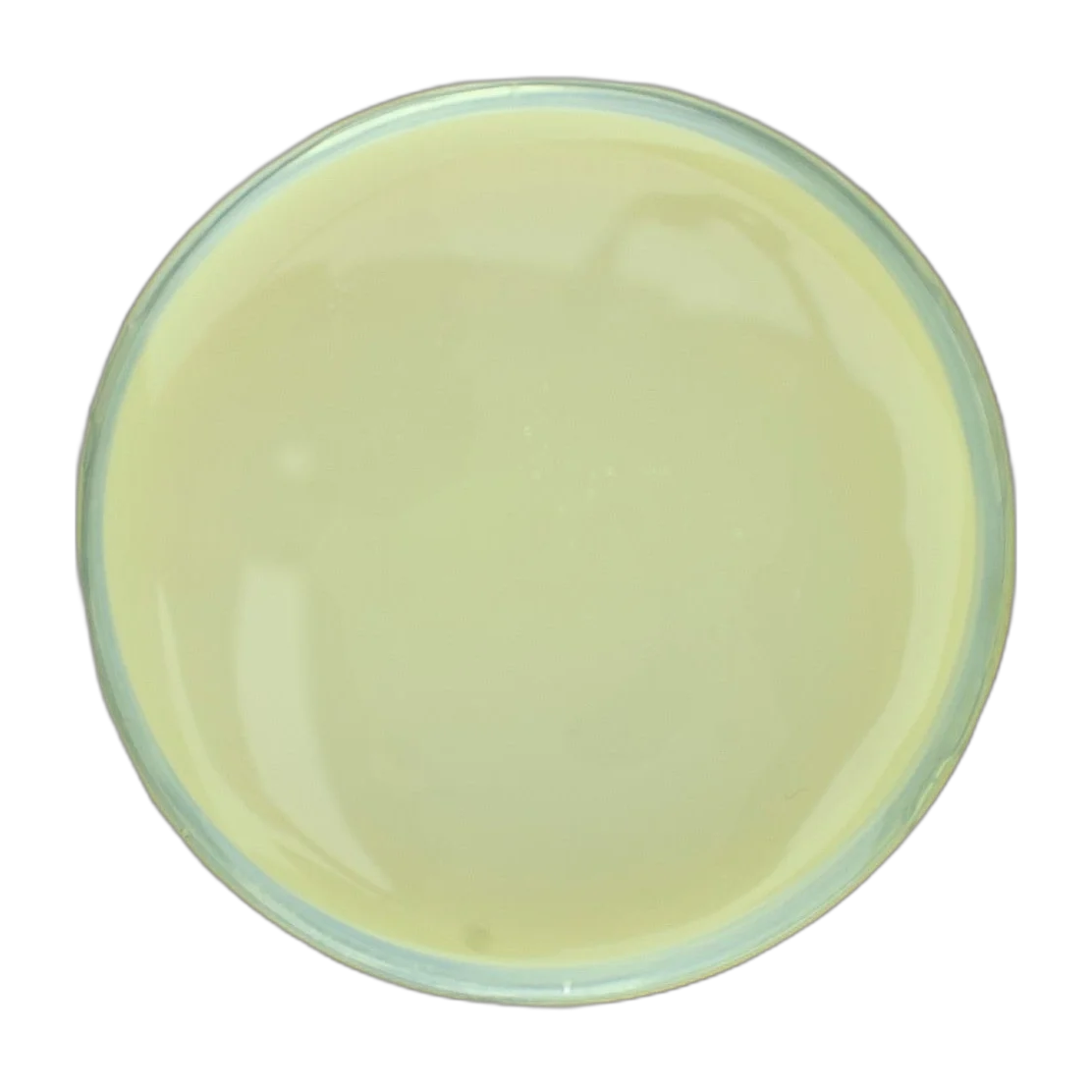 Wild Oats & Honey Facial Cleanser