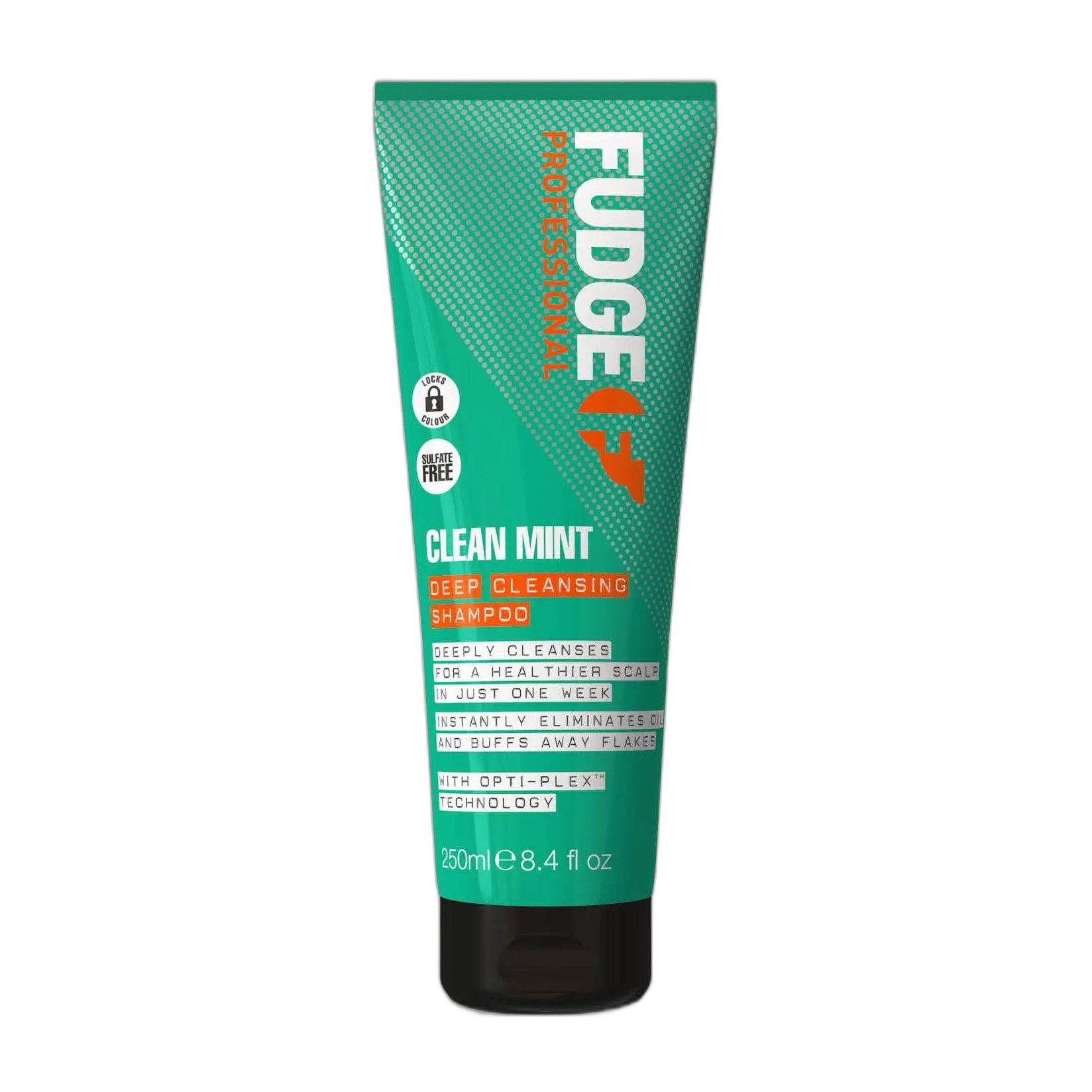 Clean Mint Deep Cleansing Shampoo