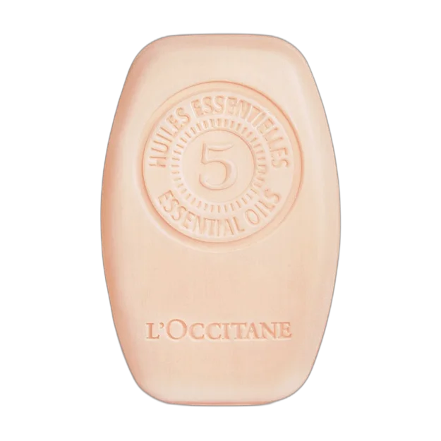 Intensive Repair Solid Shampoo
