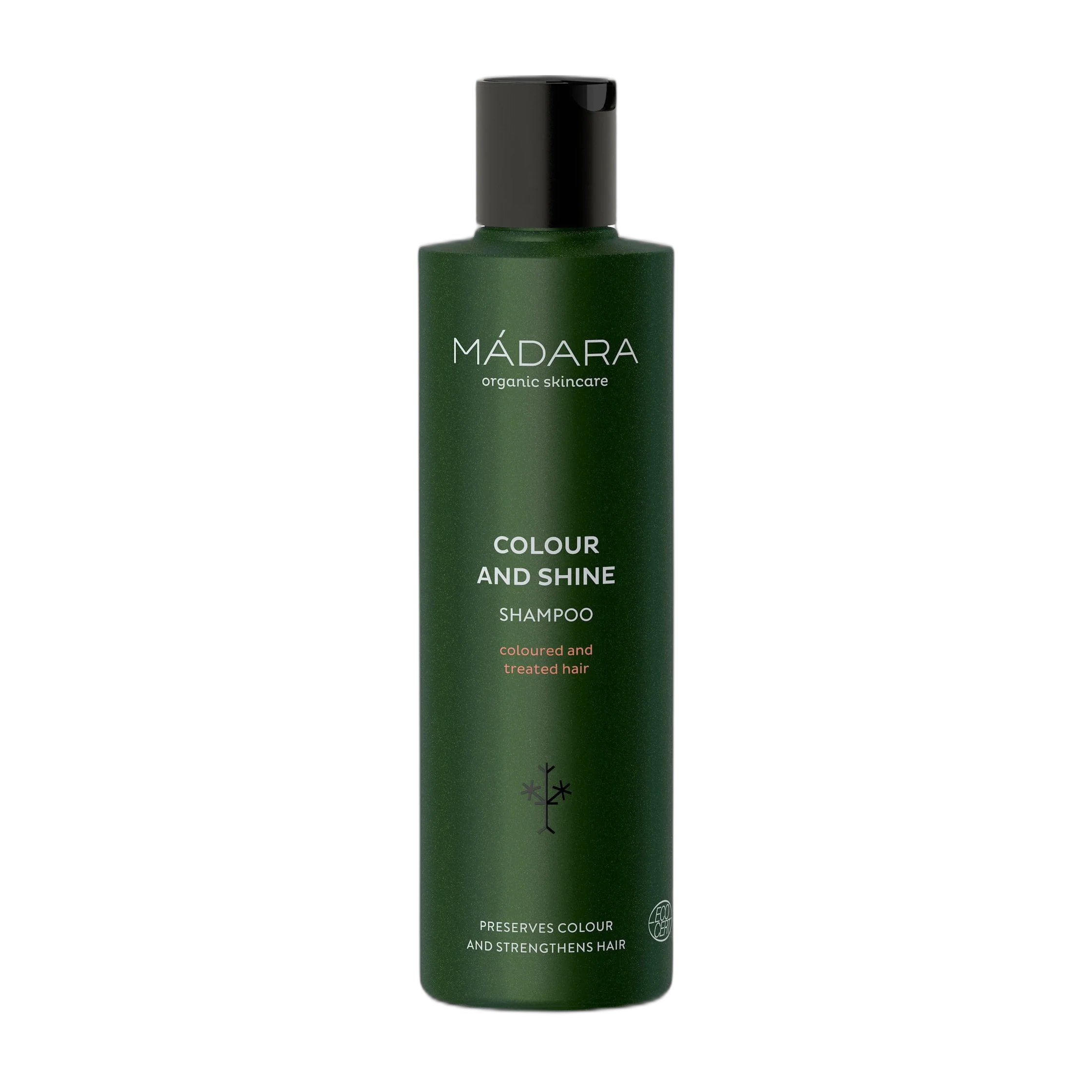 Colour And Shine Shampoo