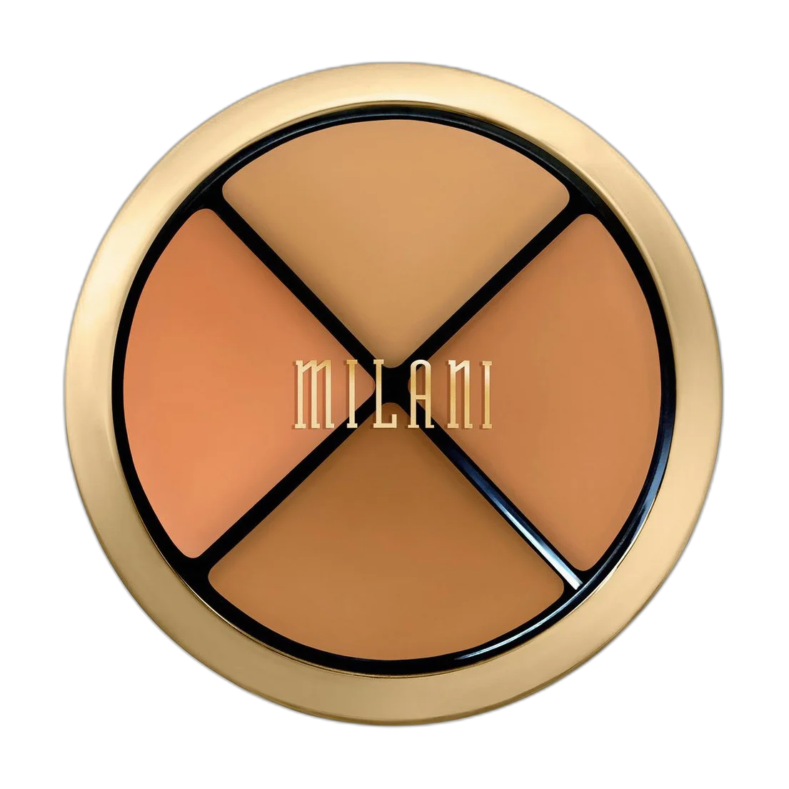 Conceal And Perfect Palette