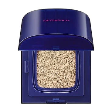 Performance Cushion Light Fixing