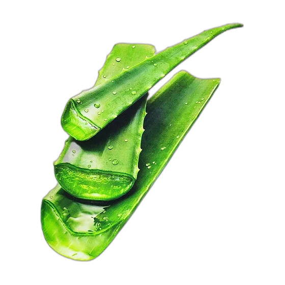 Real Nature Mask Sheet Aloe