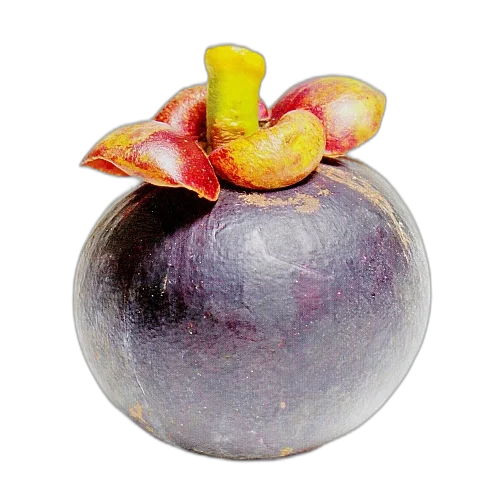 Mangosteen Mask