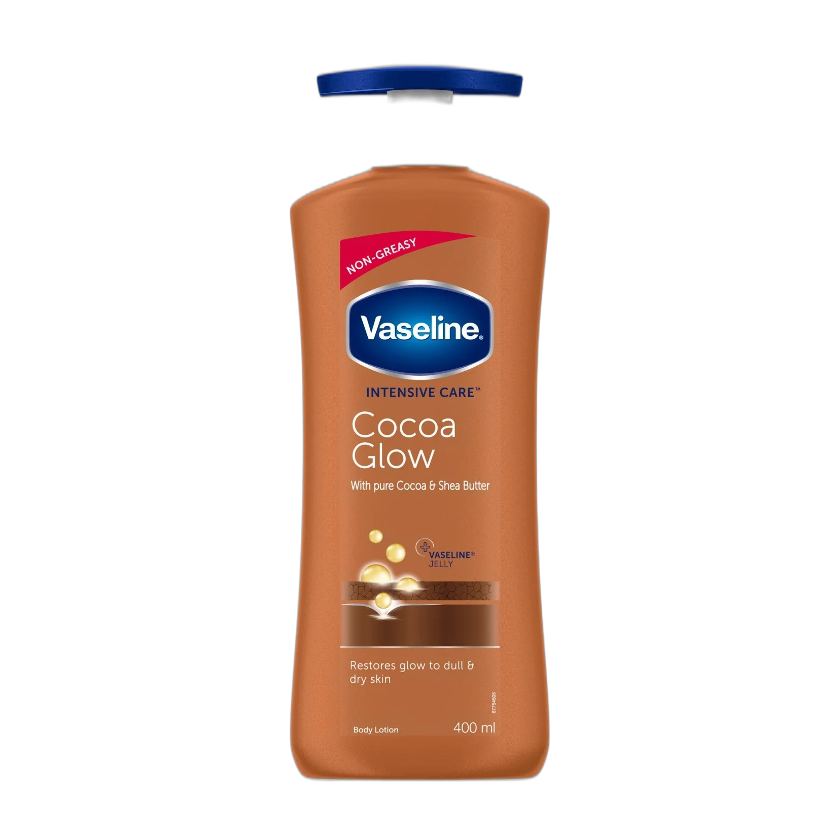 Cocoa Glow