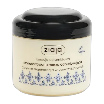 Ceramide Treatment Concentrated Rebuilding Mask